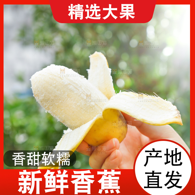 手拿剥皮的海南苹果蕉