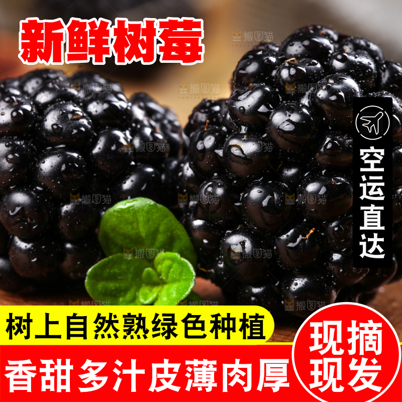 木底上的黑莓