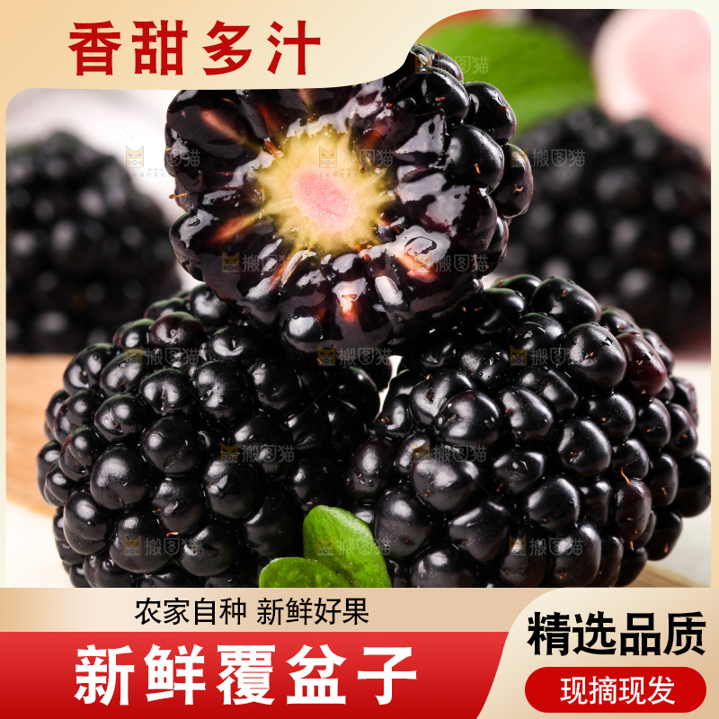 石板上的黑莓鲜果