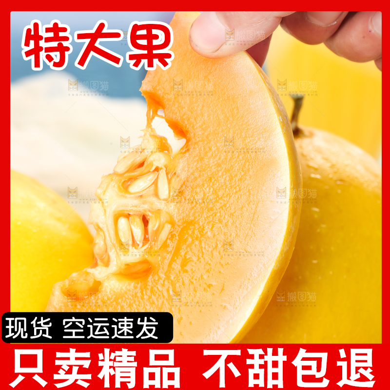 手拿切开的黄河蜜瓜