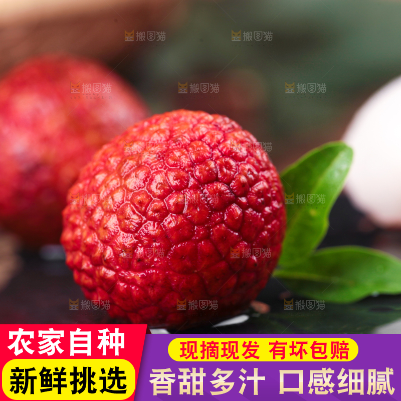 黑底上的新鲜荔枝