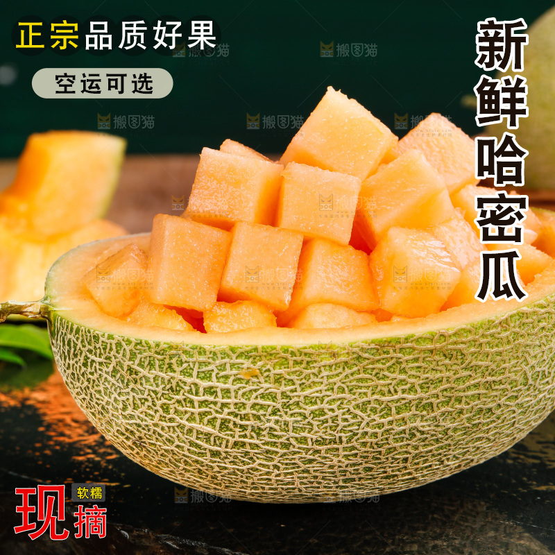 哈密瓜主图