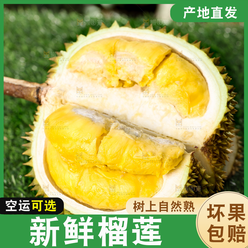 草地上摆放着甲仑榴莲