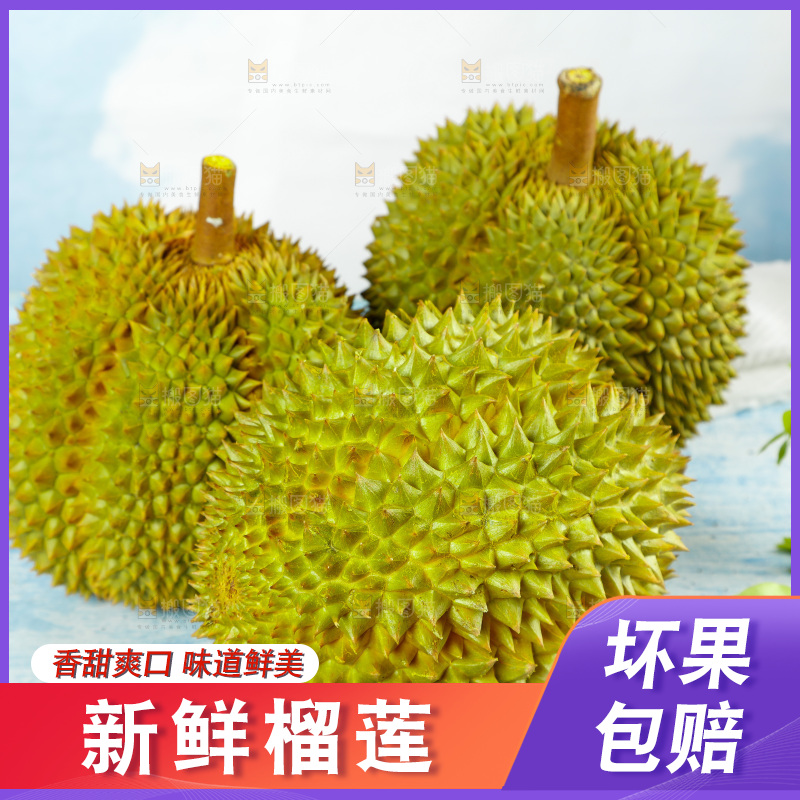 蓝底上的巴掌榴莲
