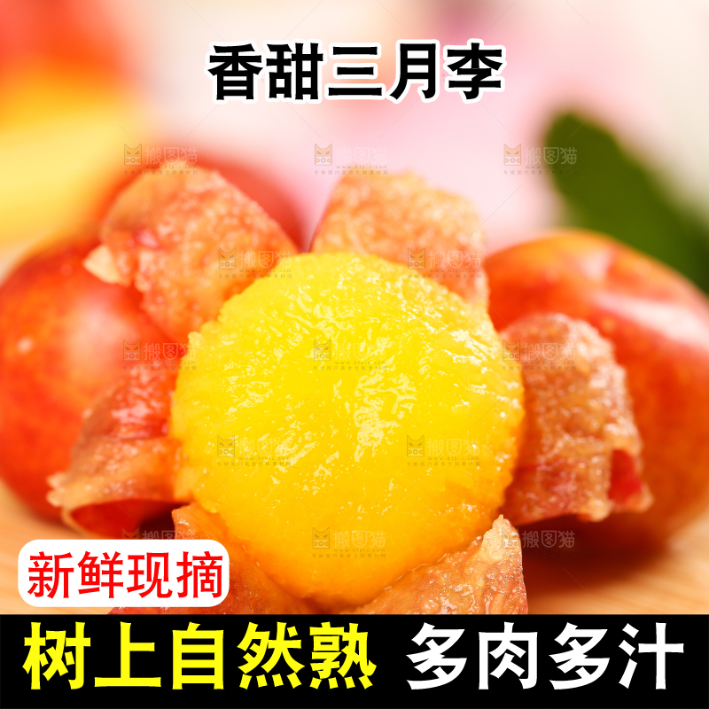 木板上的珍珠李
