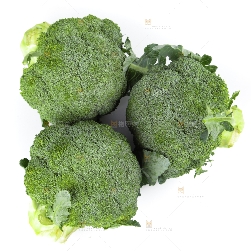 白底上的花椰菜