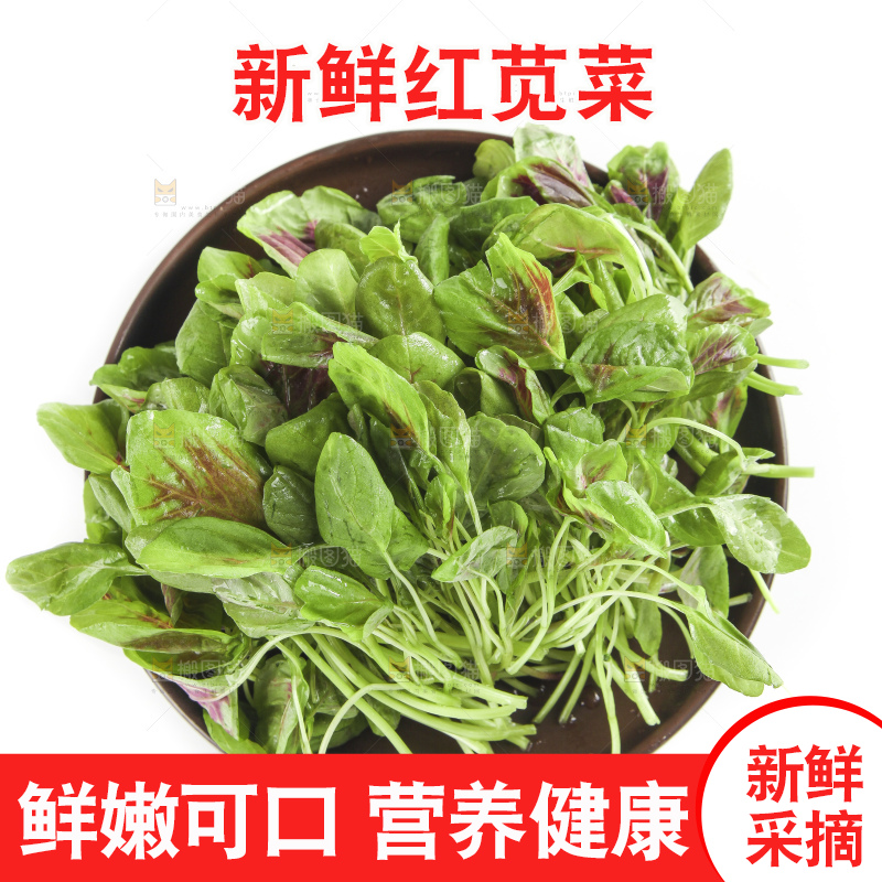 白底上放着一盘红苋菜