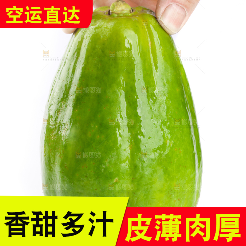 手里拿着广西青木瓜