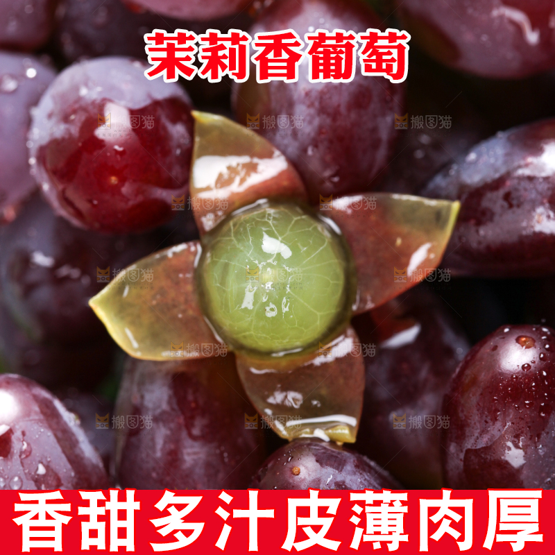 深底上的郁金香葡萄