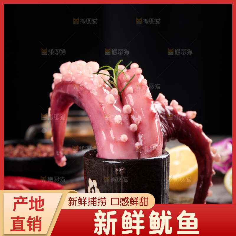 黑石板上的大鱿鱼