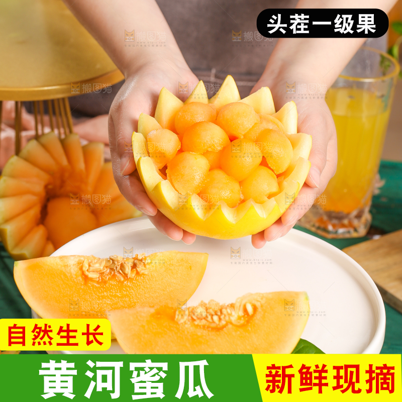 手拿黄河蜜瓜果肉