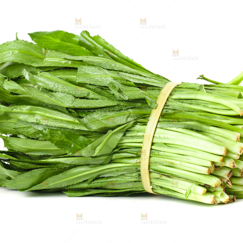 一捆云南大香菜放在白底上