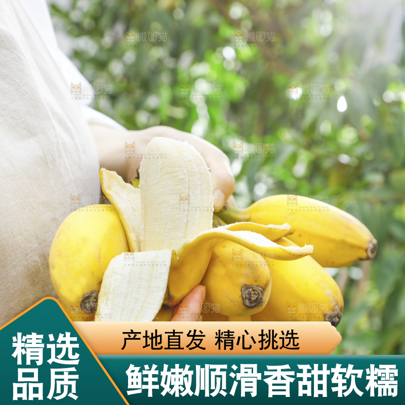 手拿剥皮的海南苹果蕉