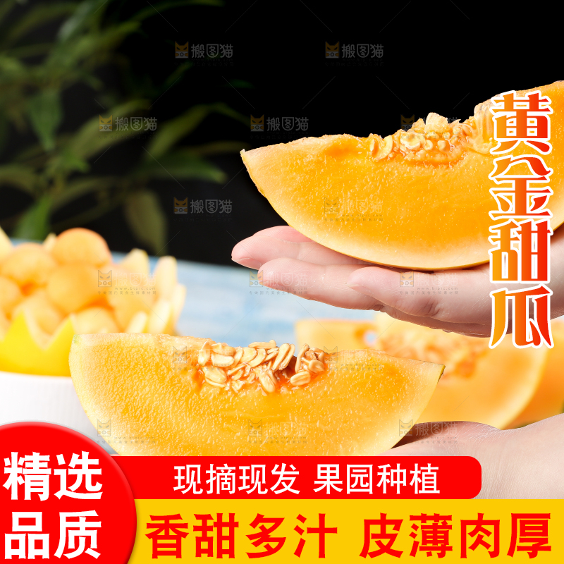 手拿切开的黄河蜜瓜