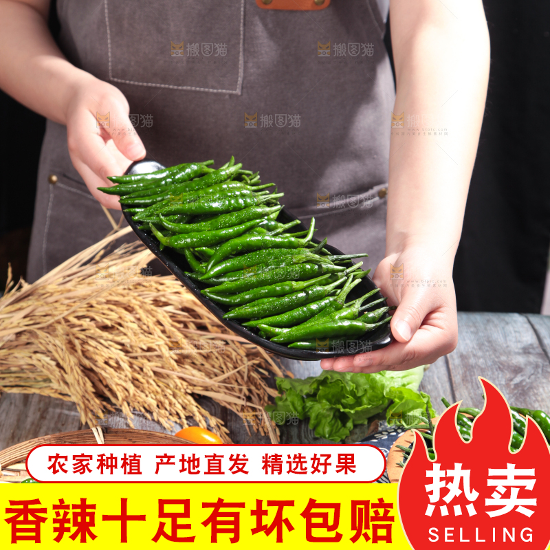 手拿一盘新鲜的青米椒