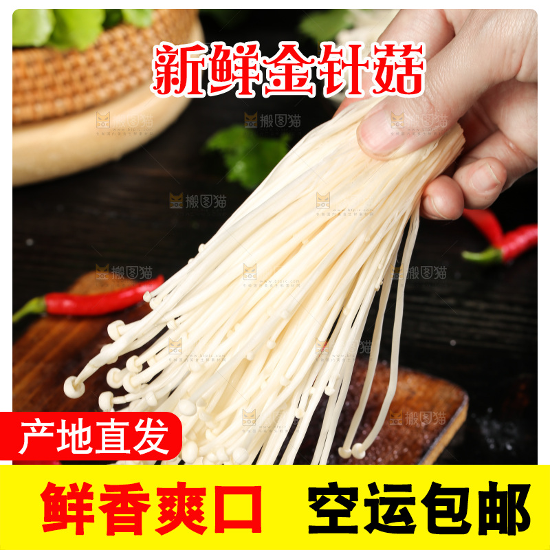 手拿新鲜金针菇