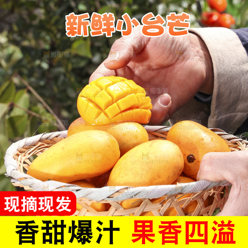 手拿一筐广西小台芒