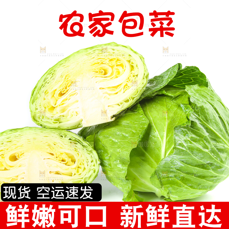 切开的包菜放在白底上