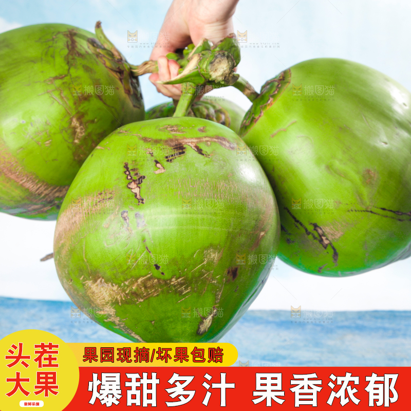 手拿提新鲜椰子