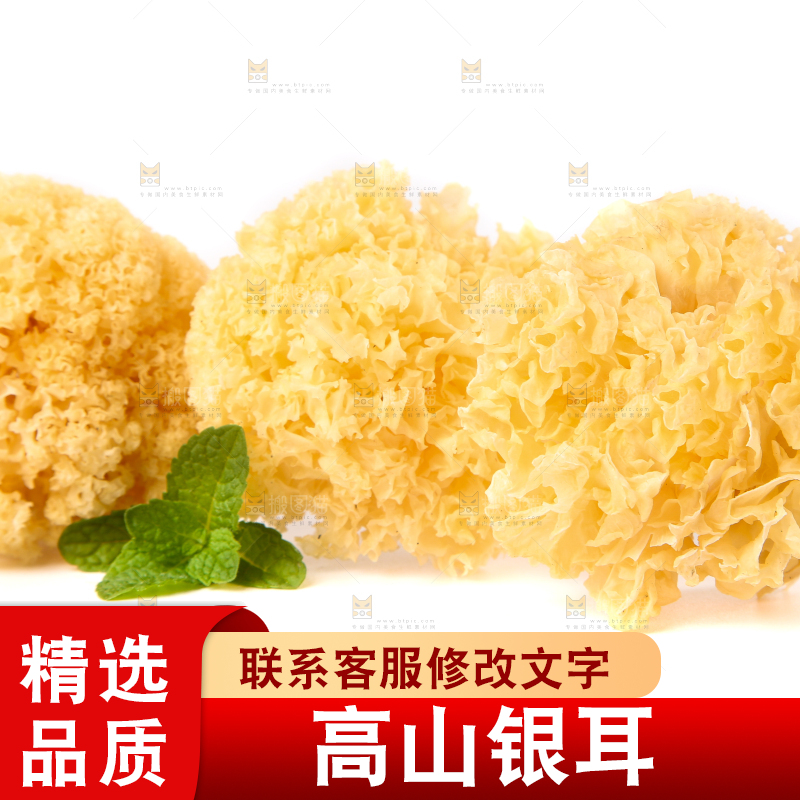 白底上的雪银耳