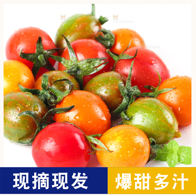 白底上的三色圣女果