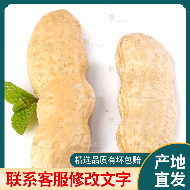 白底上放着东北红皮花生