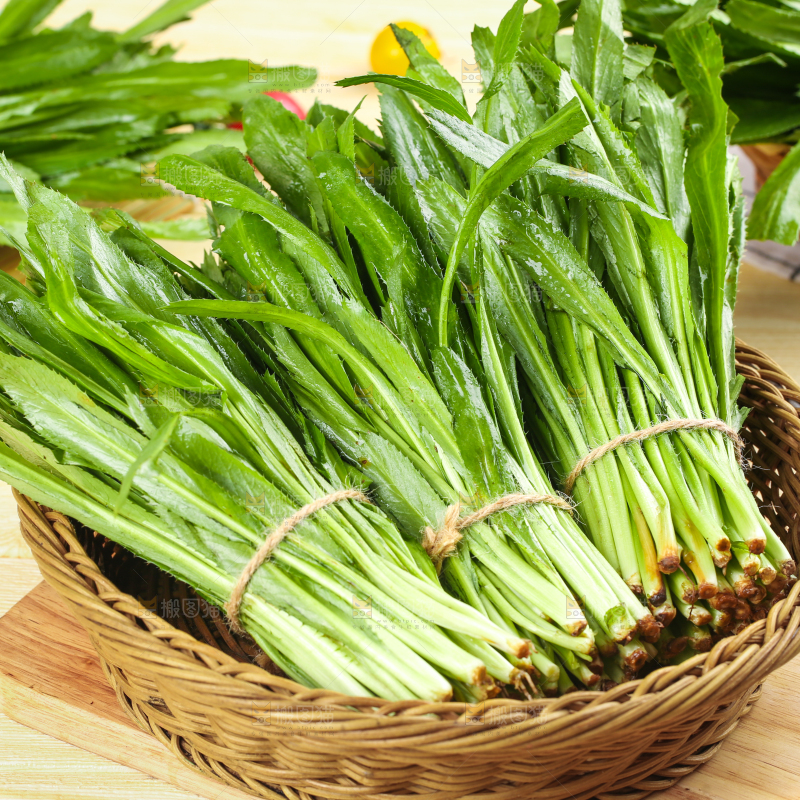 木底上放着一盘云南新鲜大香菜