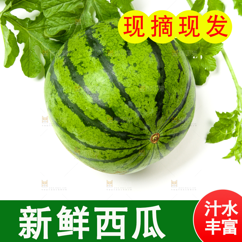 白底上放着新鲜的麒麟西瓜