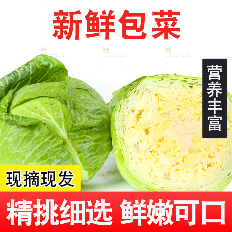 白底上放着切开的包菜