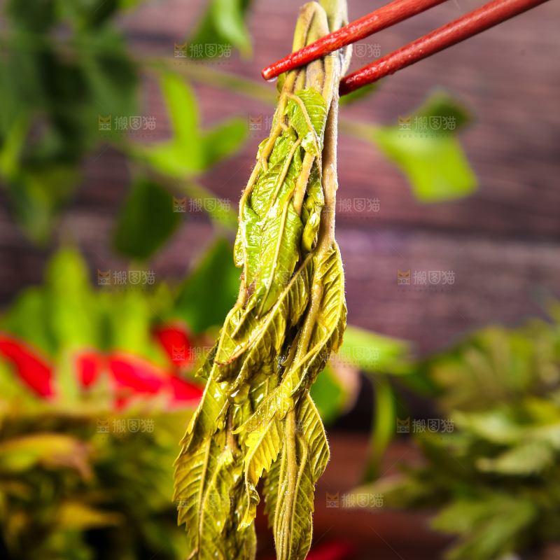 筷子夹着香椿芽