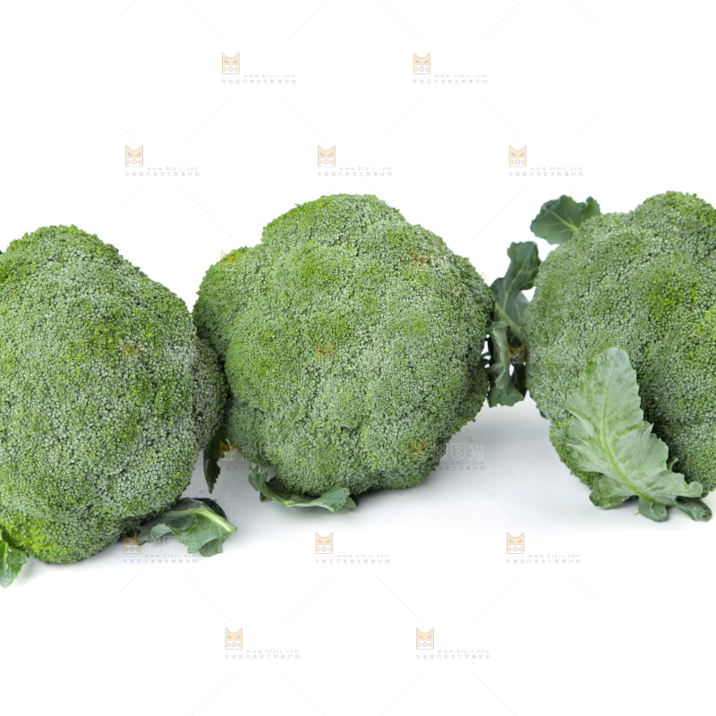 白底上的新鲜西兰花