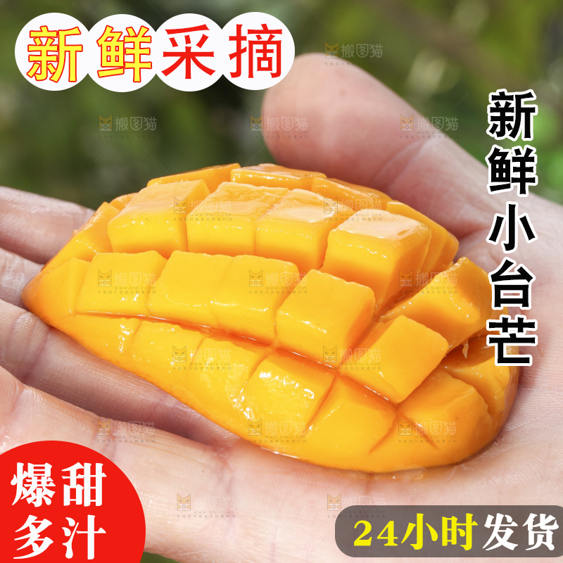 手拿切开的迷你小台芒