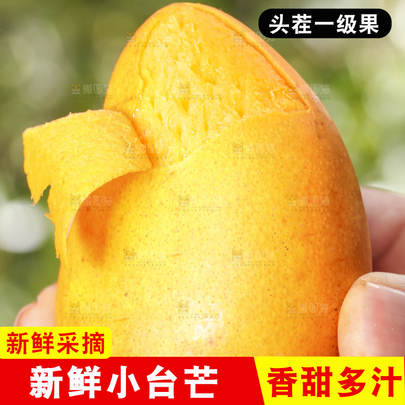 手拿剥皮的台农芒果