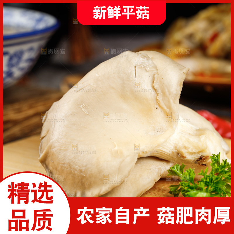 深底上的新鲜平菇