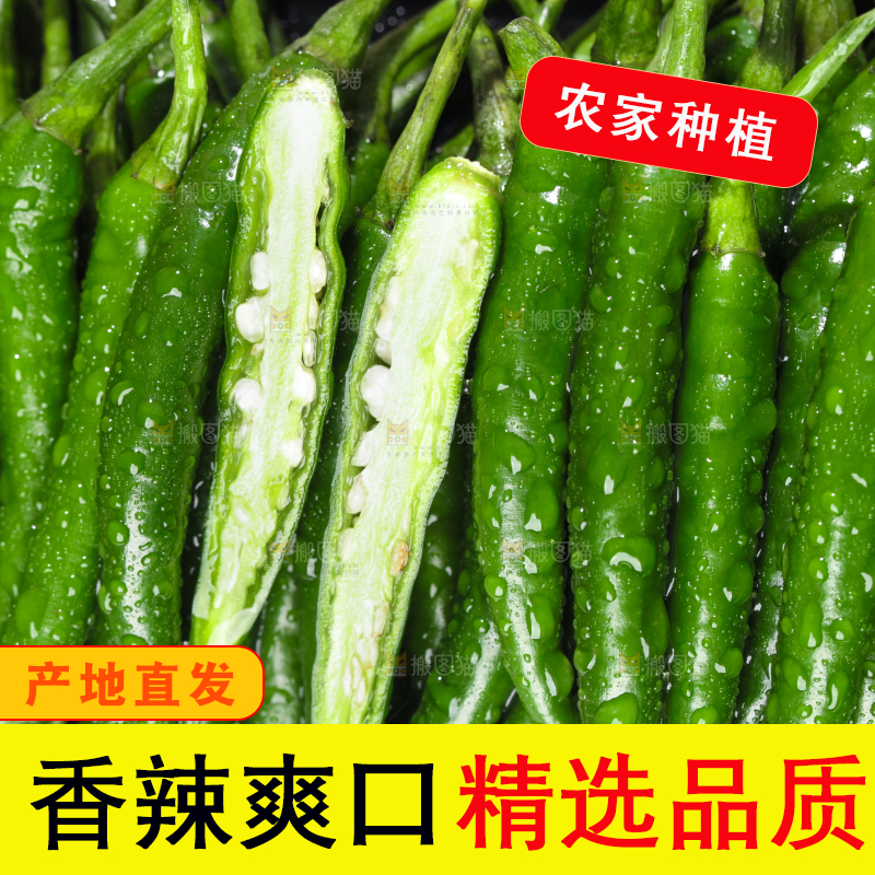 浅底上放着一盘朝天椒