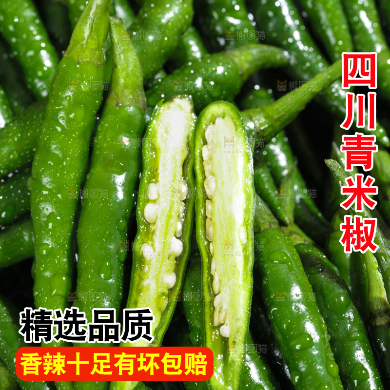 浅底上的朝天辣椒