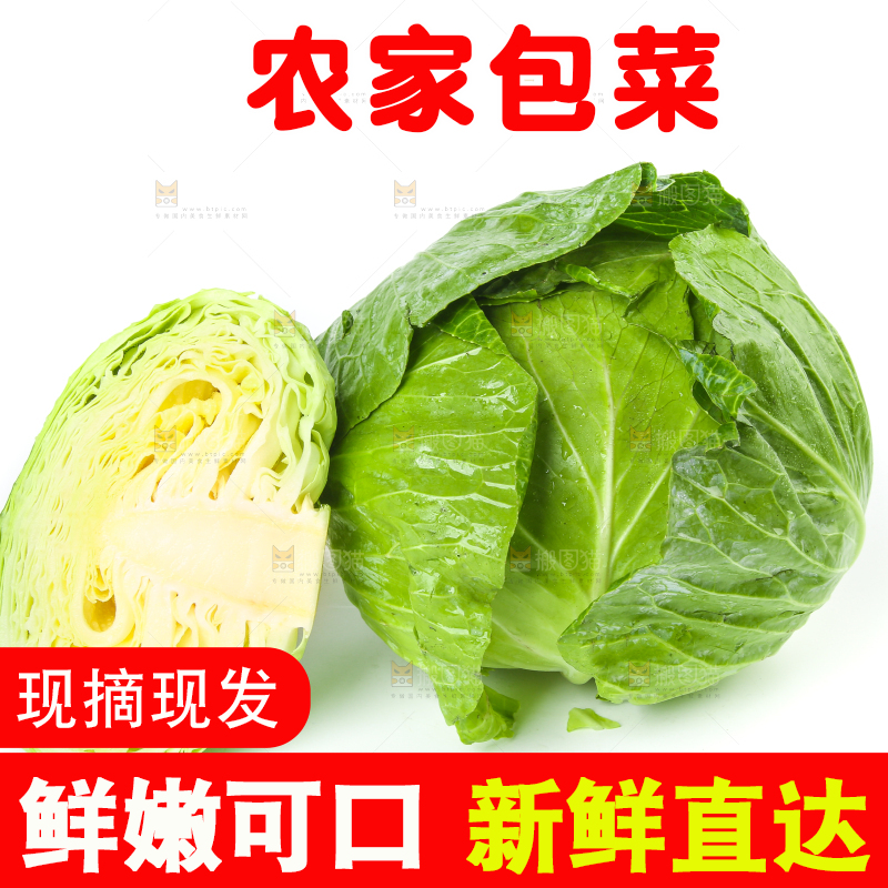 切开的包菜放在白底上