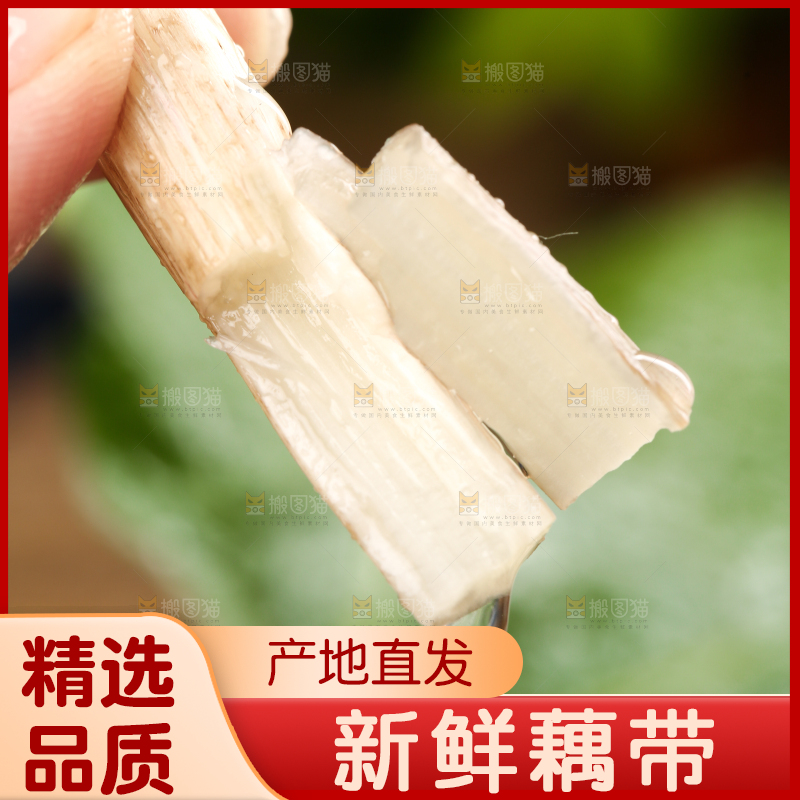 手里拿着新鲜藕带