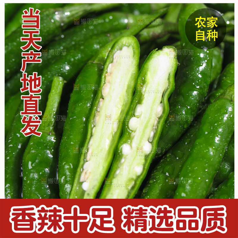 浅底上的青米椒