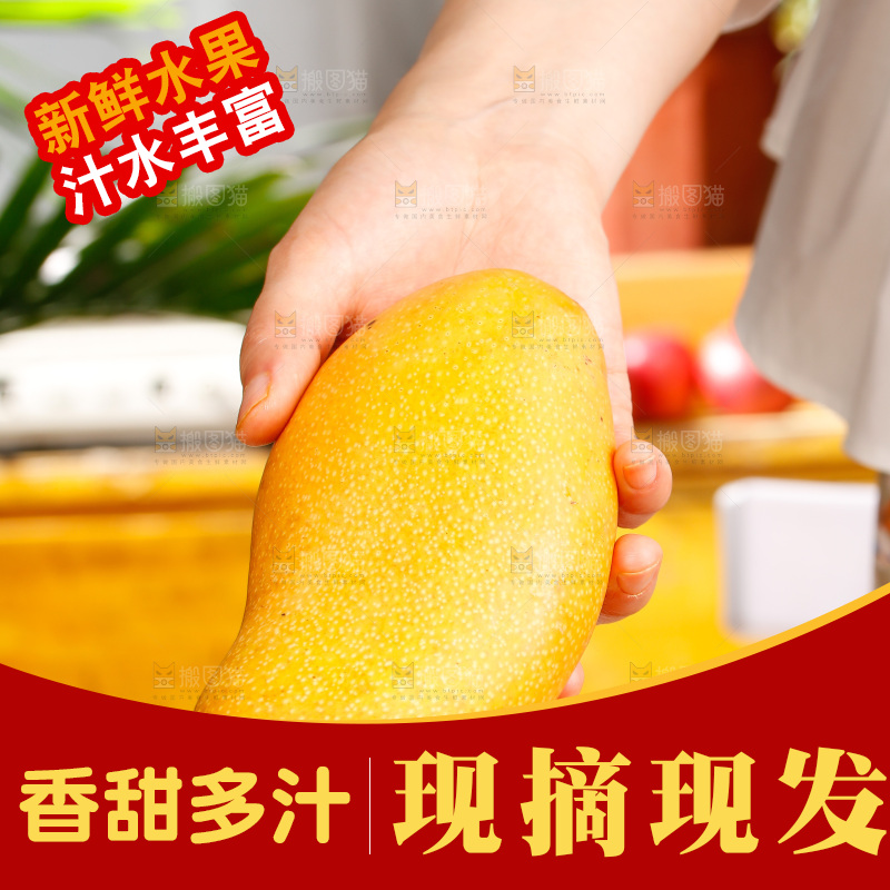 手拿新鲜金煌芒
