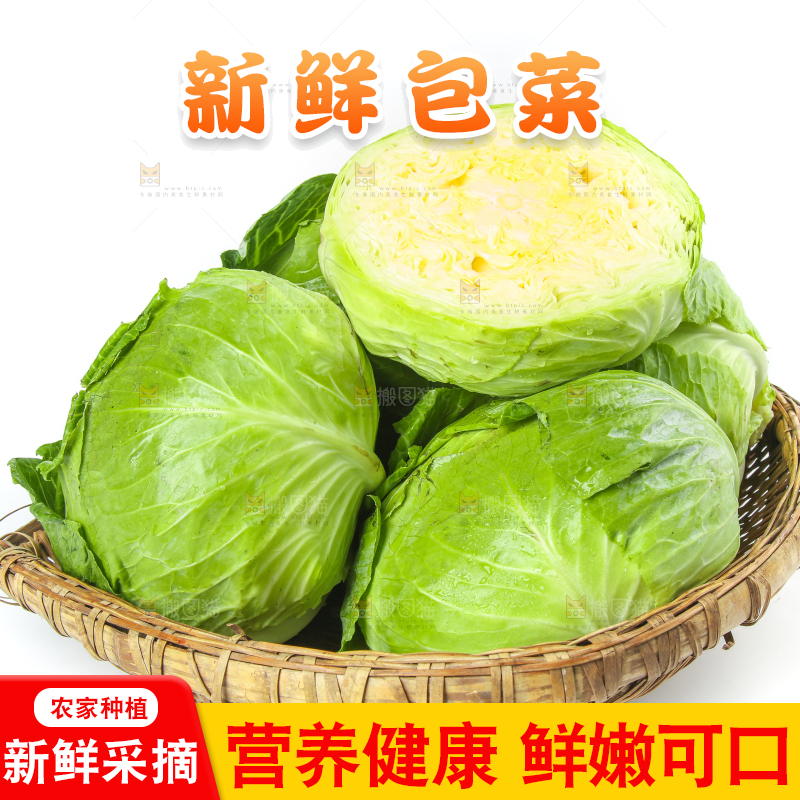 一筐新鲜包心菜放在白底上