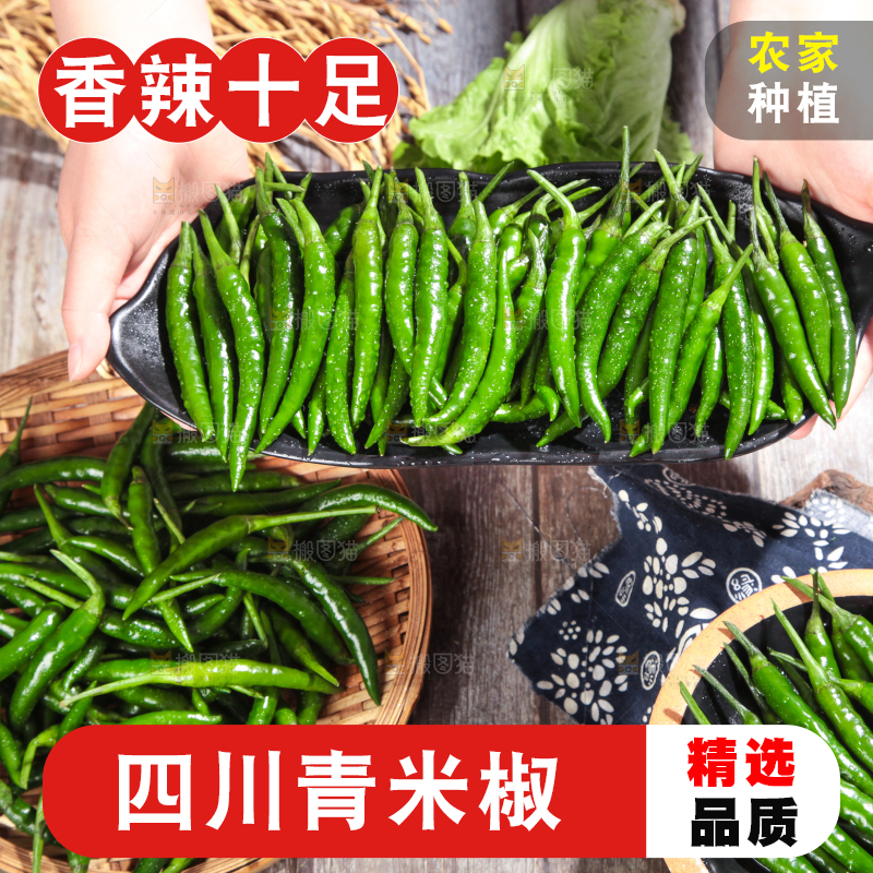 手拿一盘新鲜的青米椒