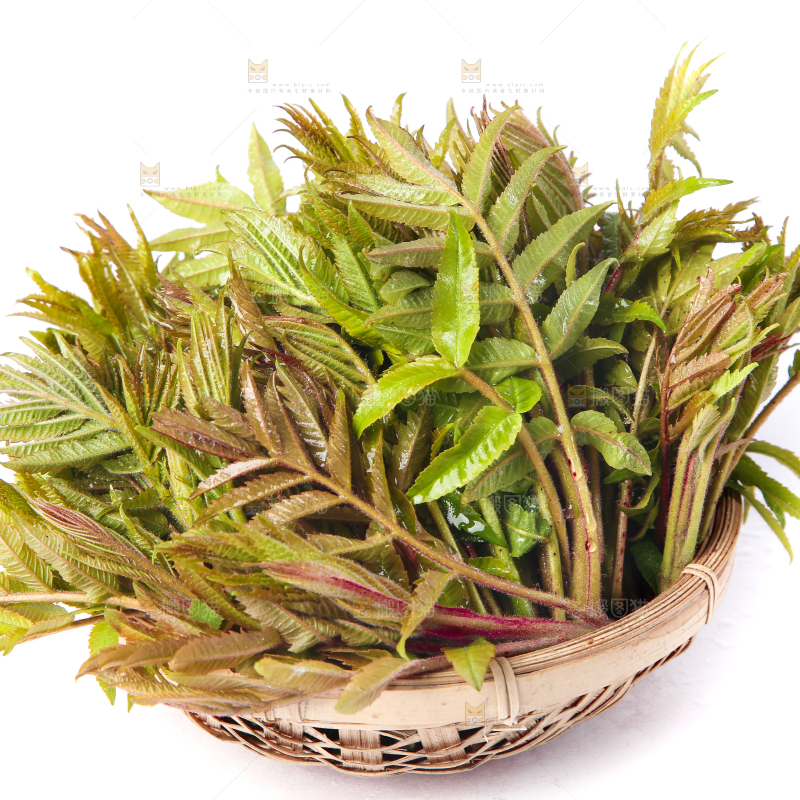 白底上放着一筐香椿芽