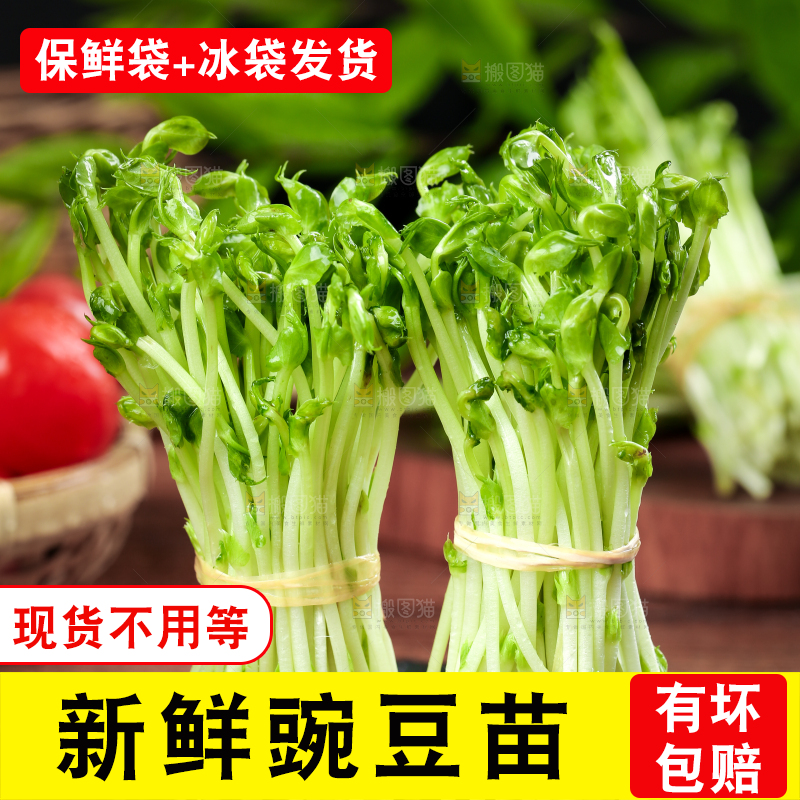 黑石板上的豌豆芽苗菜