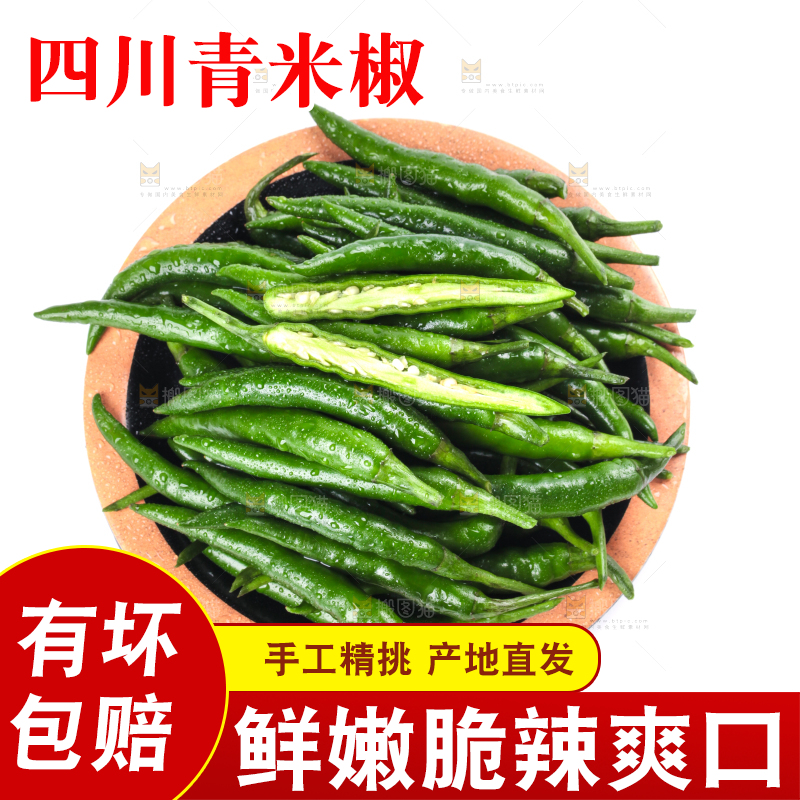 一盘新鲜的青小米辣放在白底上