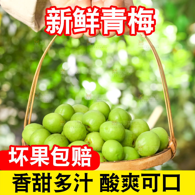 手提一篮青梅