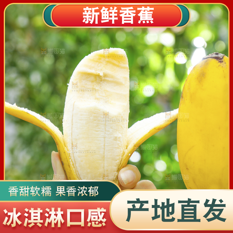 手拿剥皮的广西苹果蕉