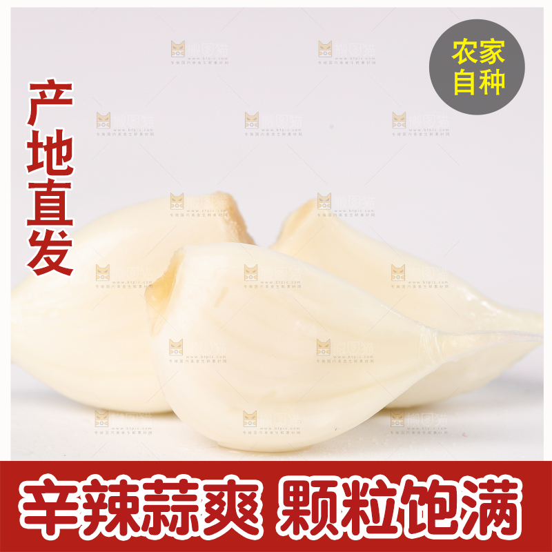 白底上的蒜瓣