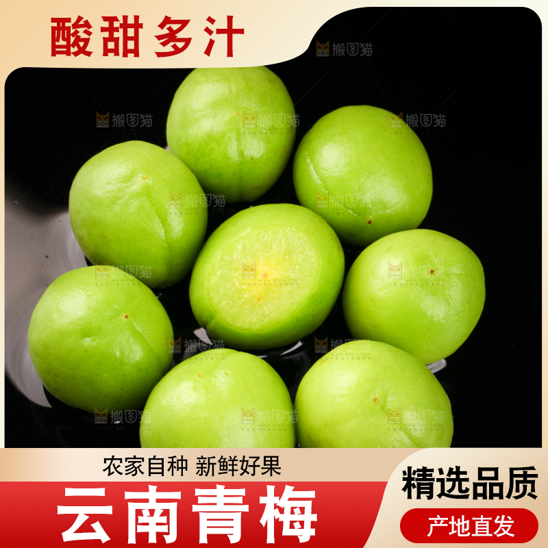 黑底上放着青梅果