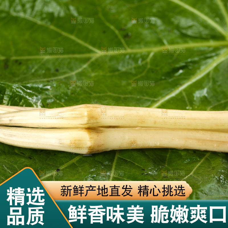 荷叶上放着洪湖藕带